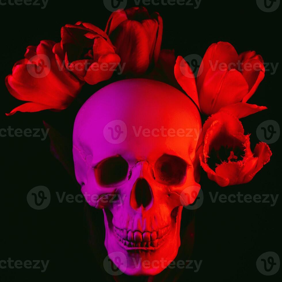 human skull in tulip flowers with colored neon lighting photo