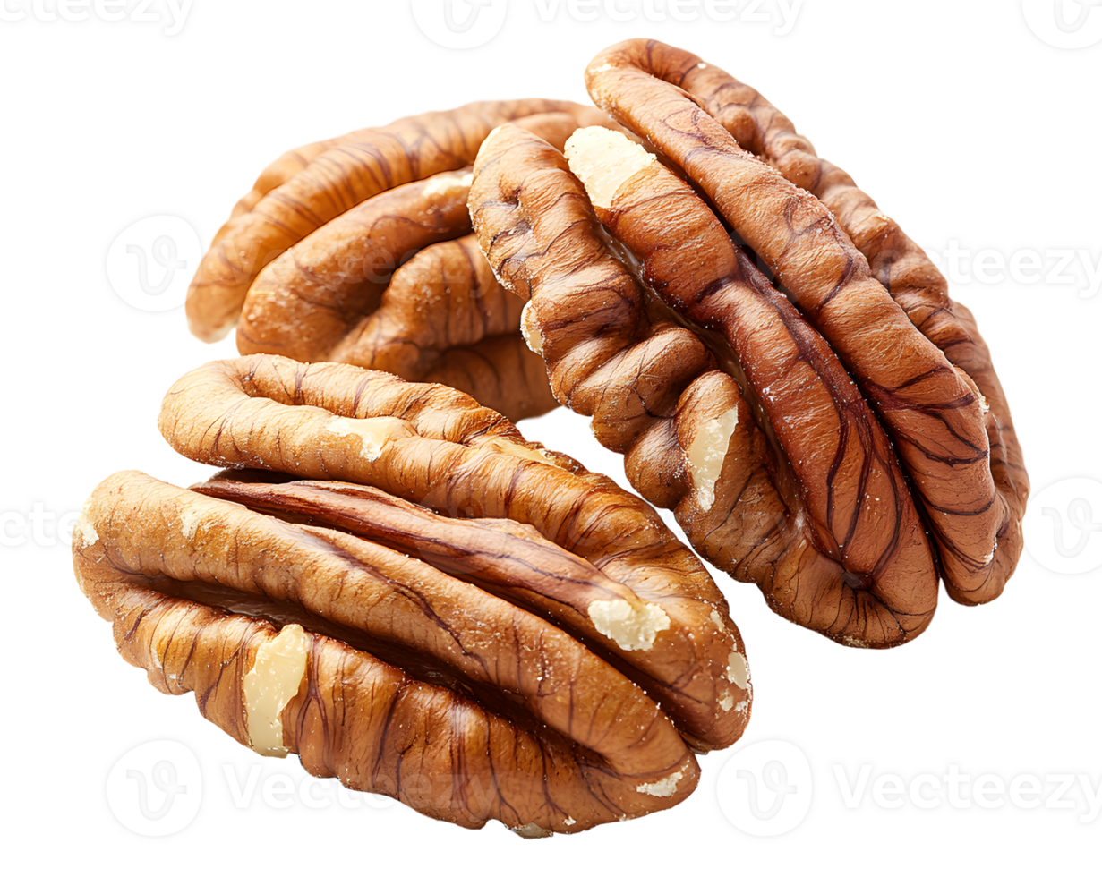 Pecan pile of pecans transparent background image png