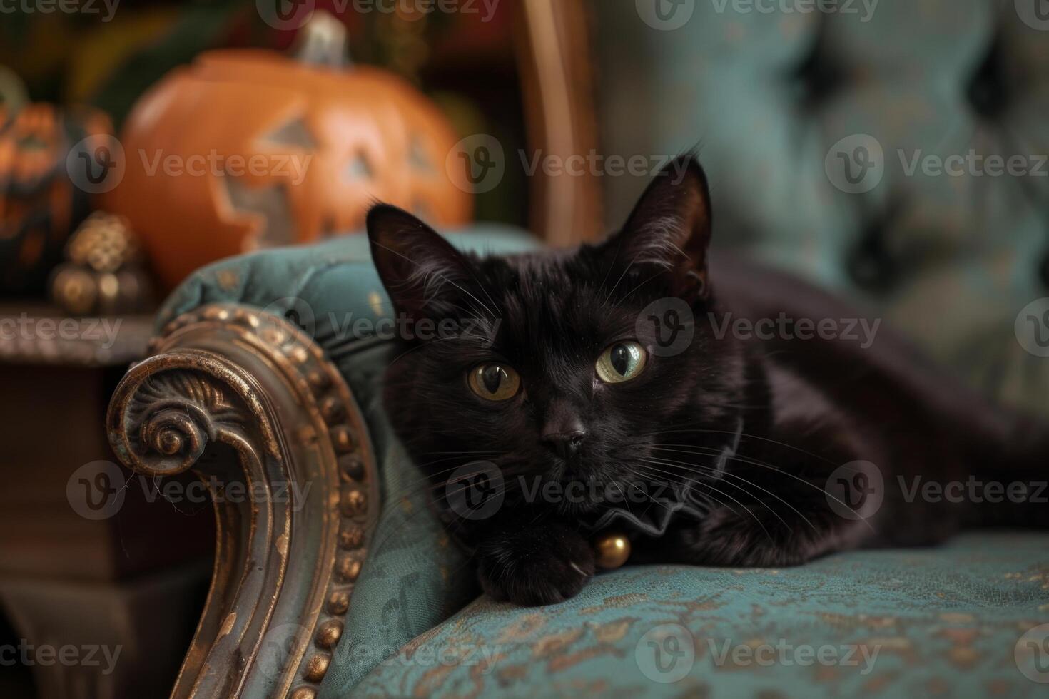 Black cat adorned with an elegant black ruffled collar lounges on a vintage armchair, with a Halloween pumpkin in the background photo