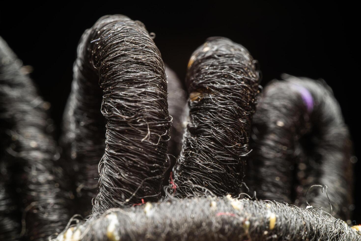 A close up of a black and white hairy animal photo