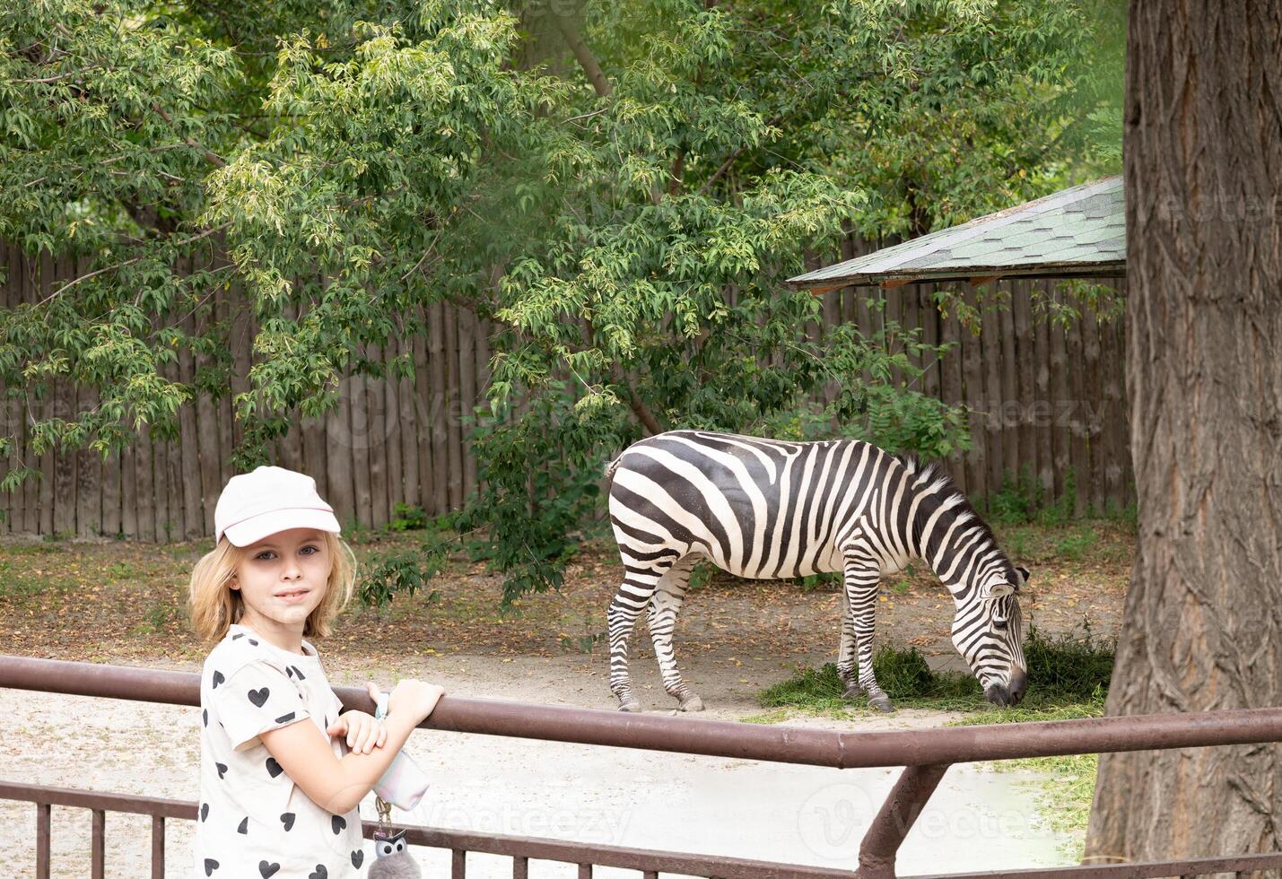 Little girl standing by railing, watching zebra grazing in zoo under the shade of trees. The scene captures moment of curiosity and wonder photo