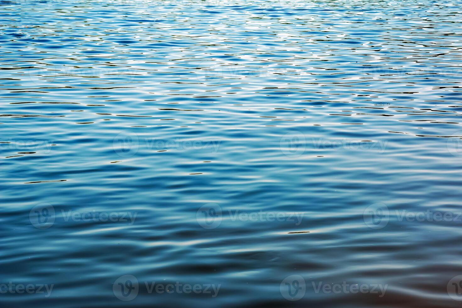 Water ripple texture background. Wavy water surface during sunset, golden light reflecting in the water photo