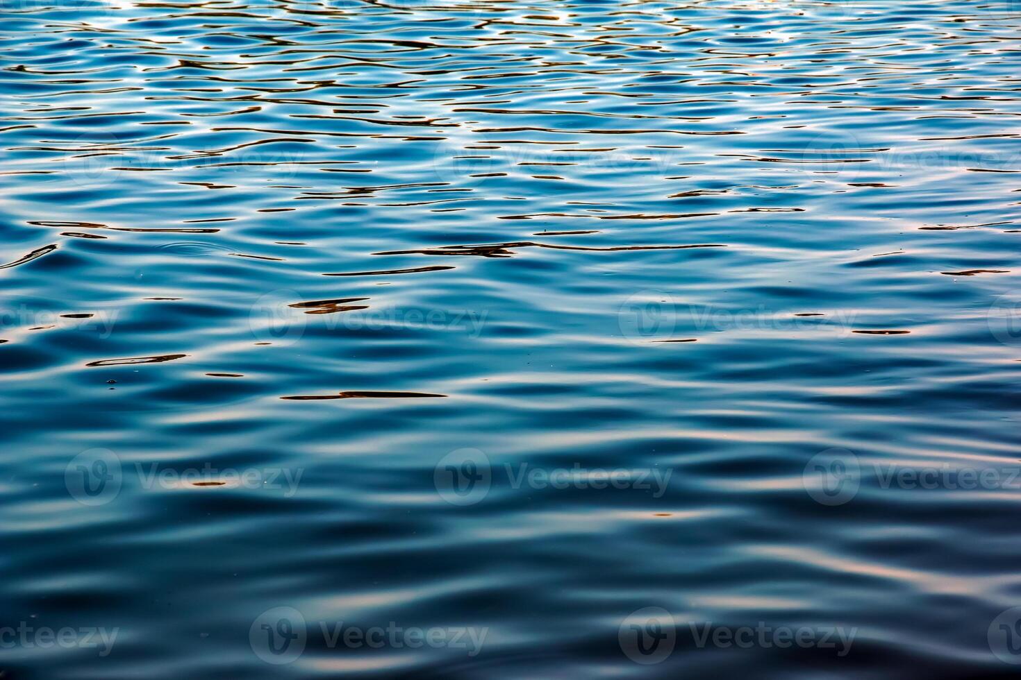 Water ripple texture background. Wavy water surface during sunset, golden light reflecting in the water photo
