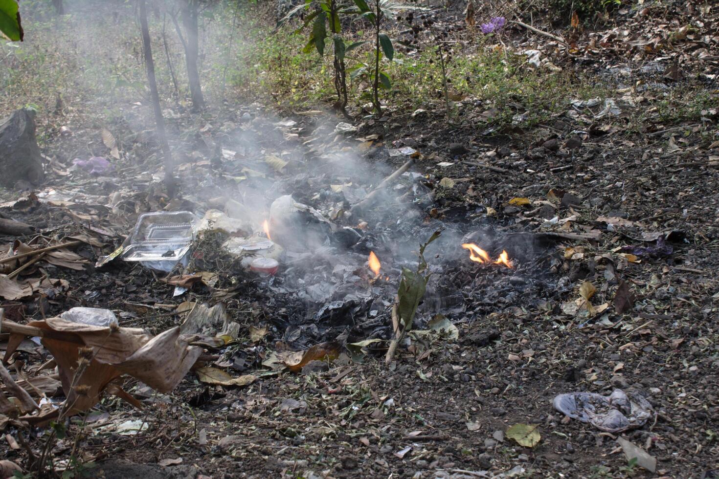 smoke from burning garbage photo
