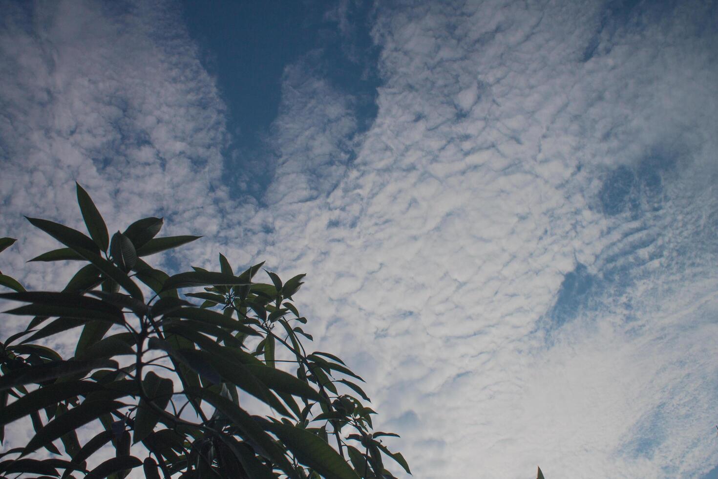 white clouds in the sky photo