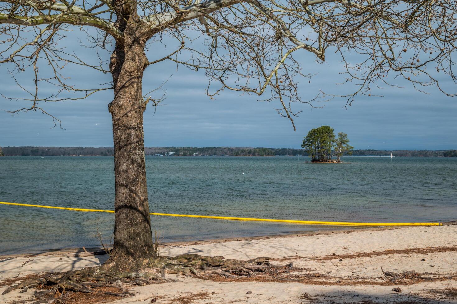 Island on the lake photo