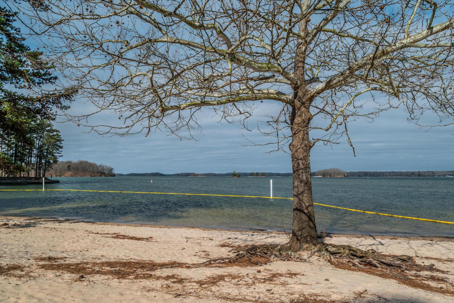 Beach and swim area at the lake photo