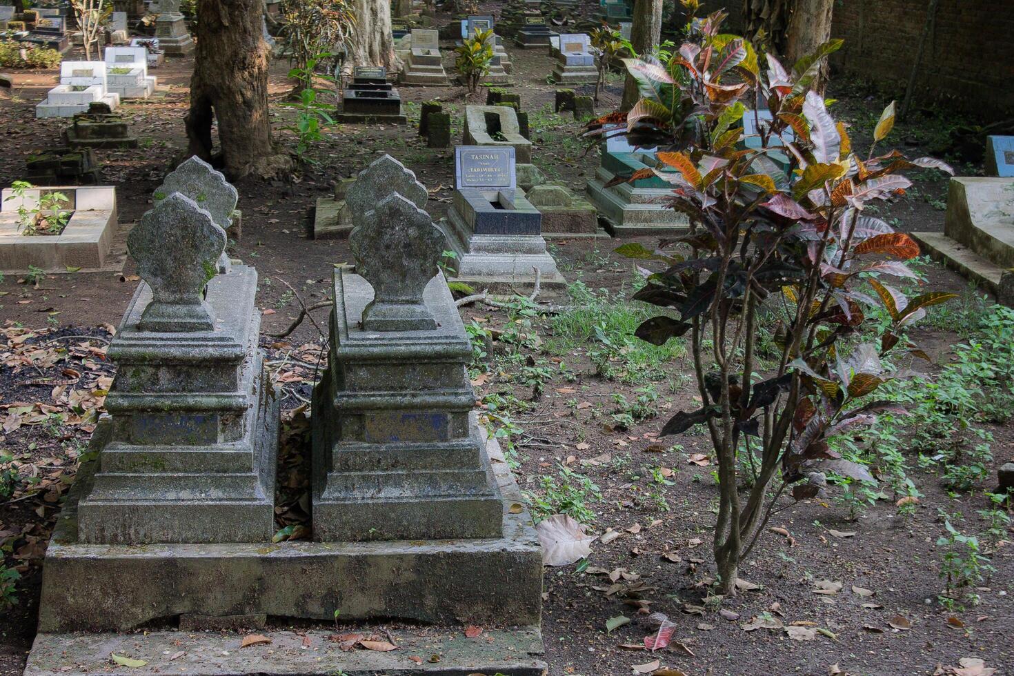 grave markers in public cemeteries photo