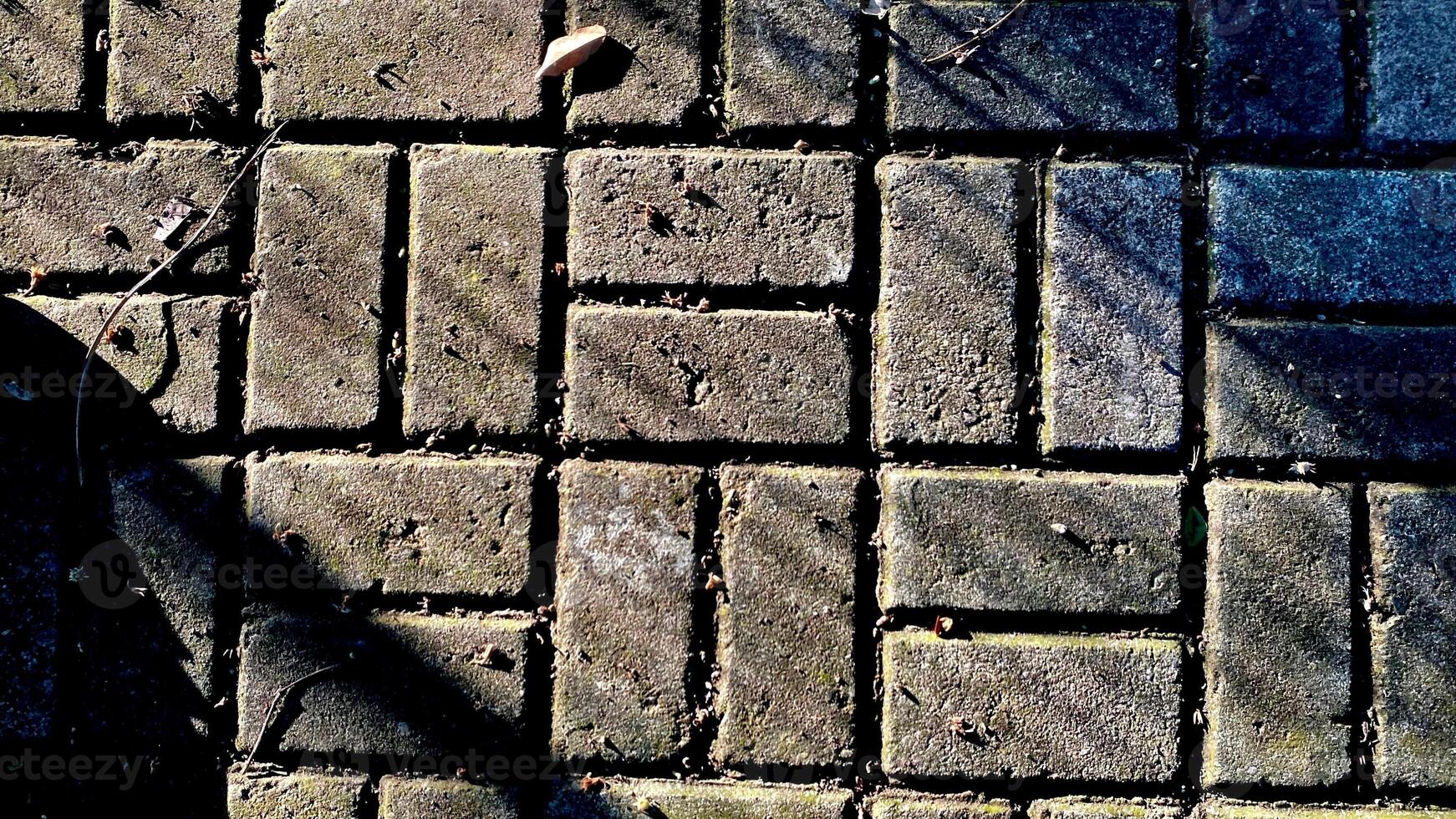 Cobblestone Path Texture photo