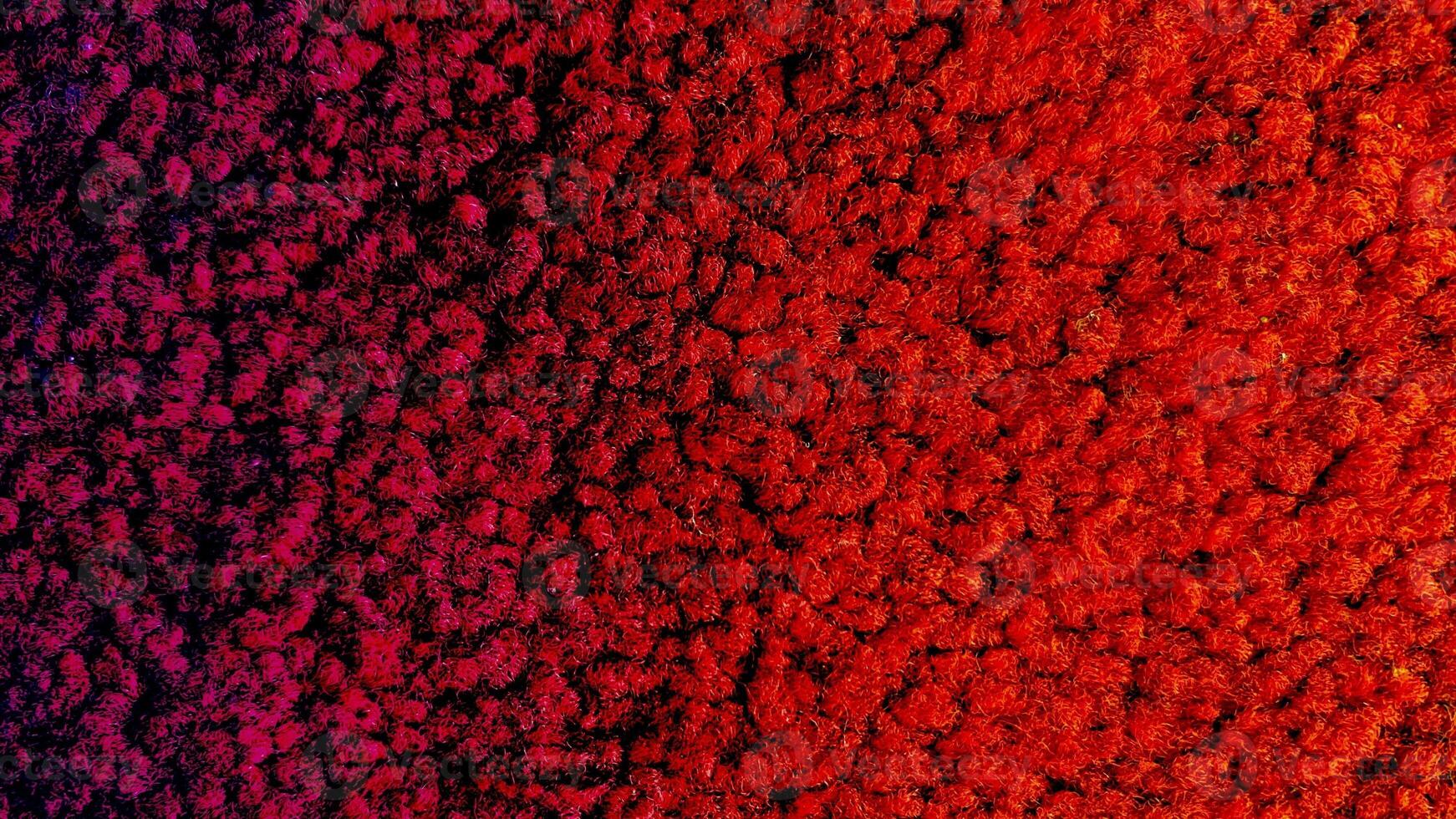 Red Gradient Carpet texture photo