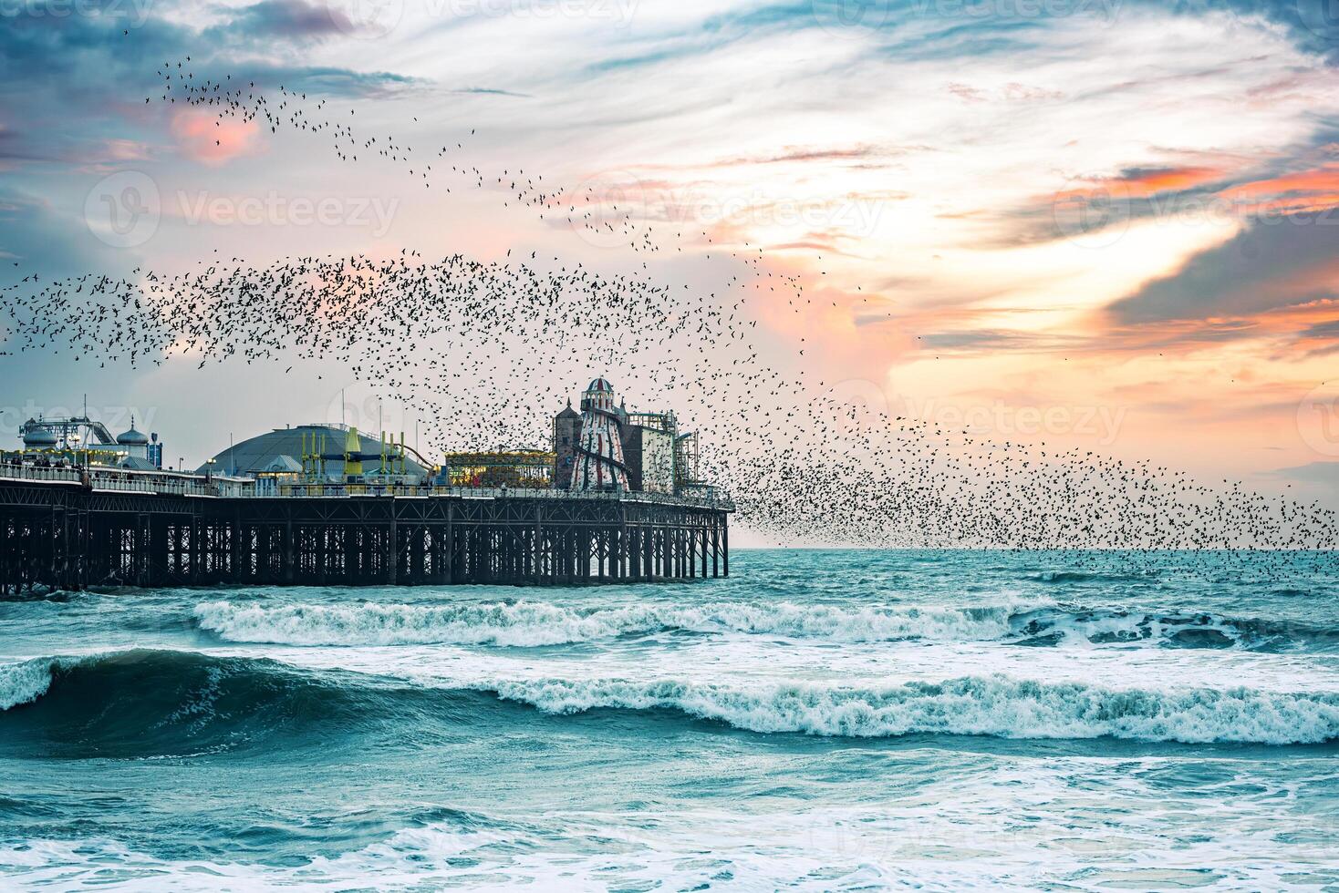 Murmuration around Brighton pier winter time as Starling bird return, East Sussex, UK photo