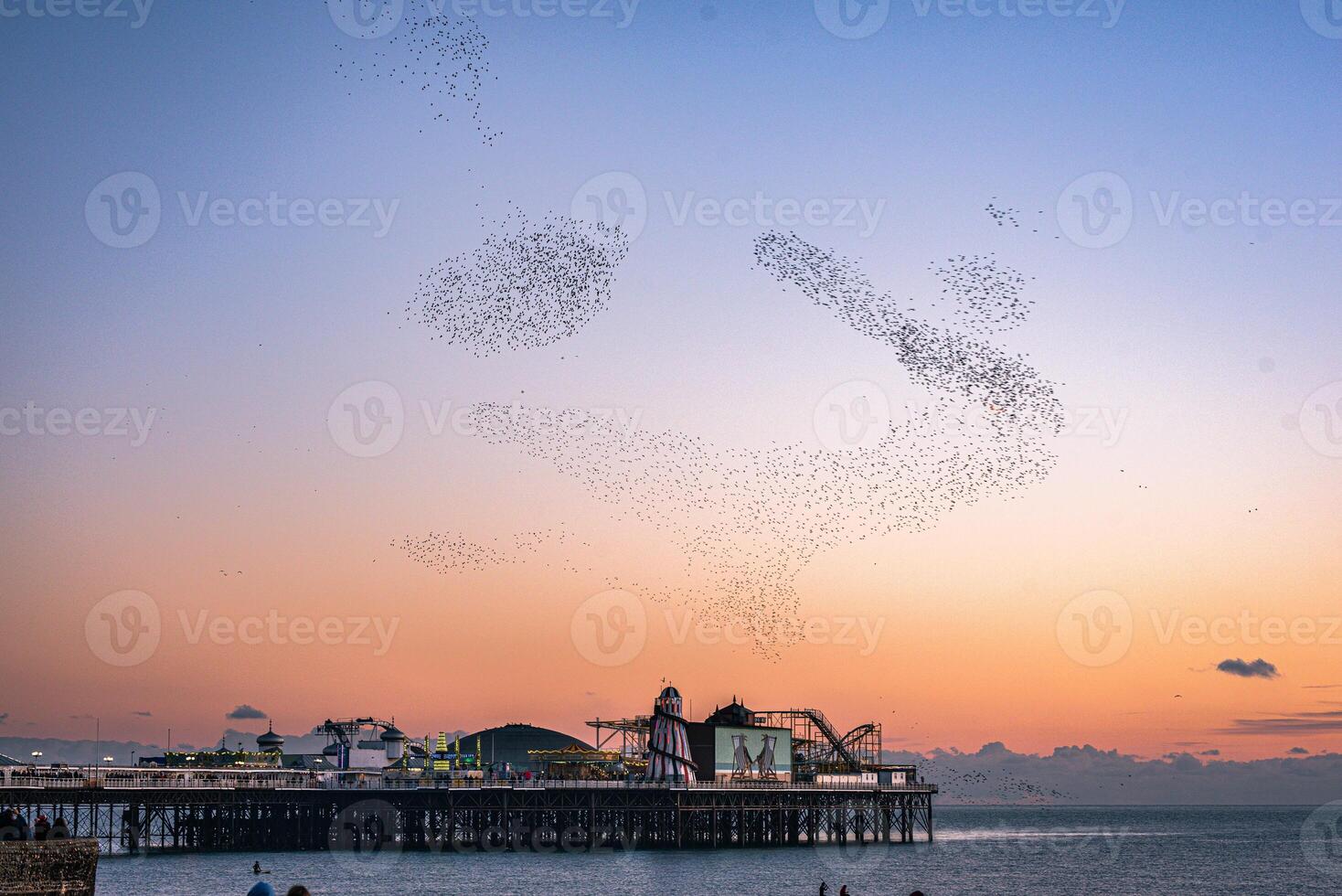 Murmuration around Brighton pier winter time as Starling bird return, East Sussex, UK photo