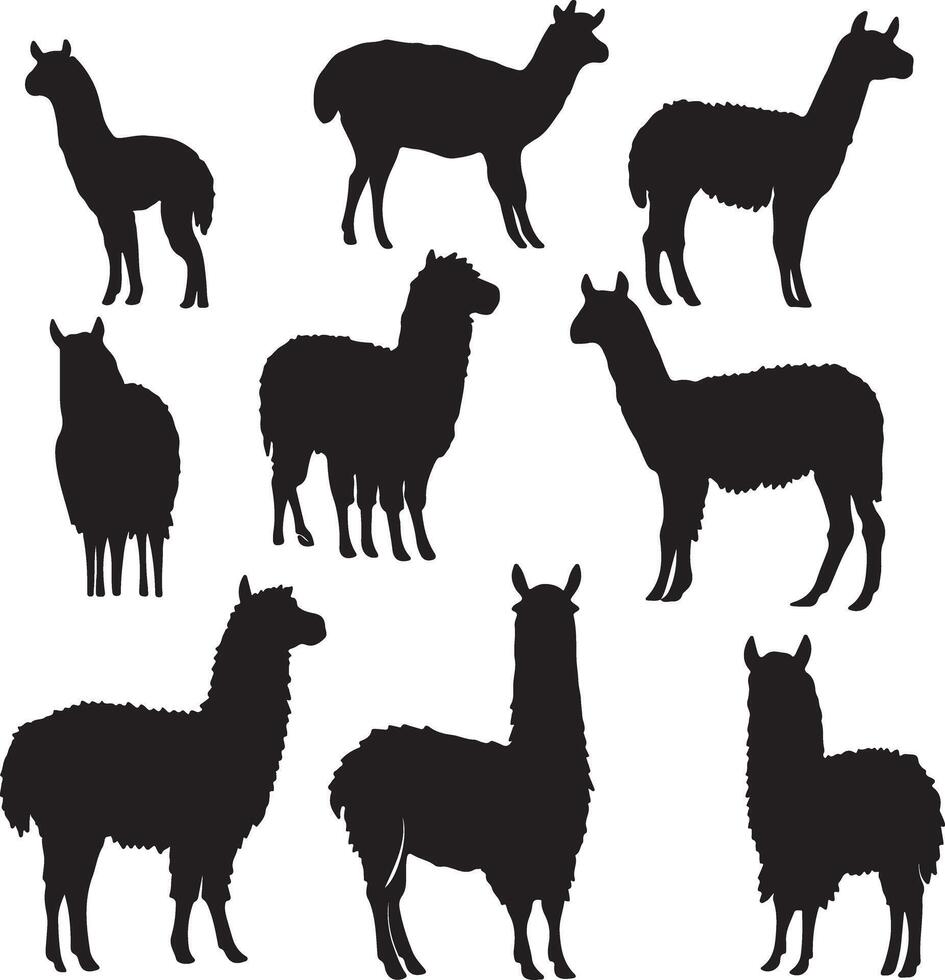 Alpaca and Llama Silhouettes Set Isolated vector