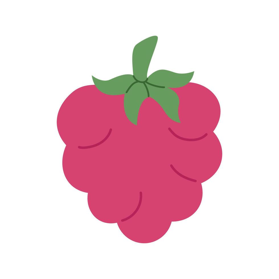 Hand drawn raspberry. Doodle berry for healthy diet eating vector