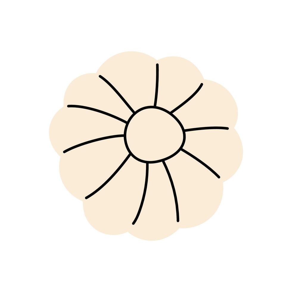 Hand drawn garlic bulb , ideal for healthy food projects and culinary websites vector