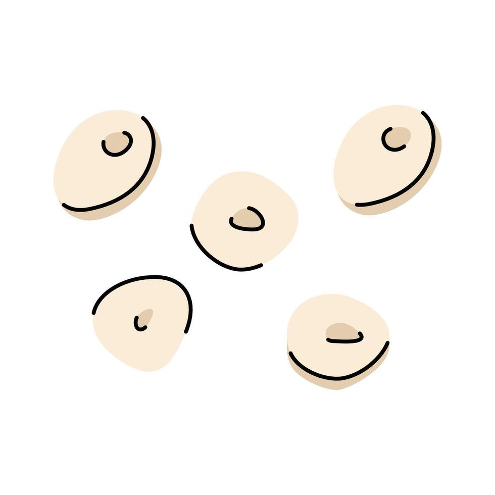 Hand drawn chopped garlic. Simple flat garlic slices in doodle style vector