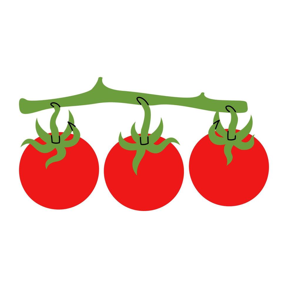 Branch of juicy ripe tomatoes. Hand drawn fresh bunch with ripe tomatoes on green stem. Ideal for recipe book vector