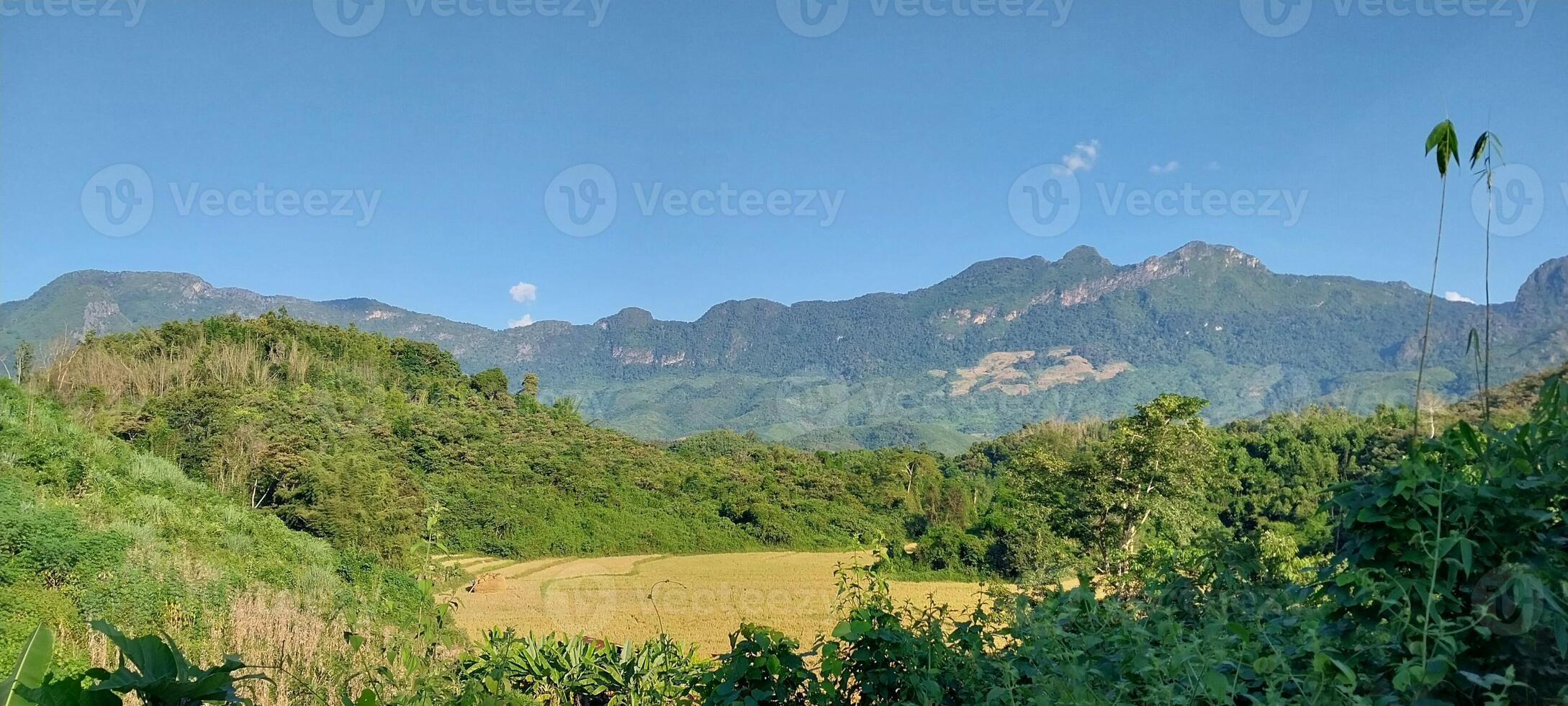 Panoramic view of lush green hills and distant mountains under a clear blue sky, with a golden field in the foreground. photo