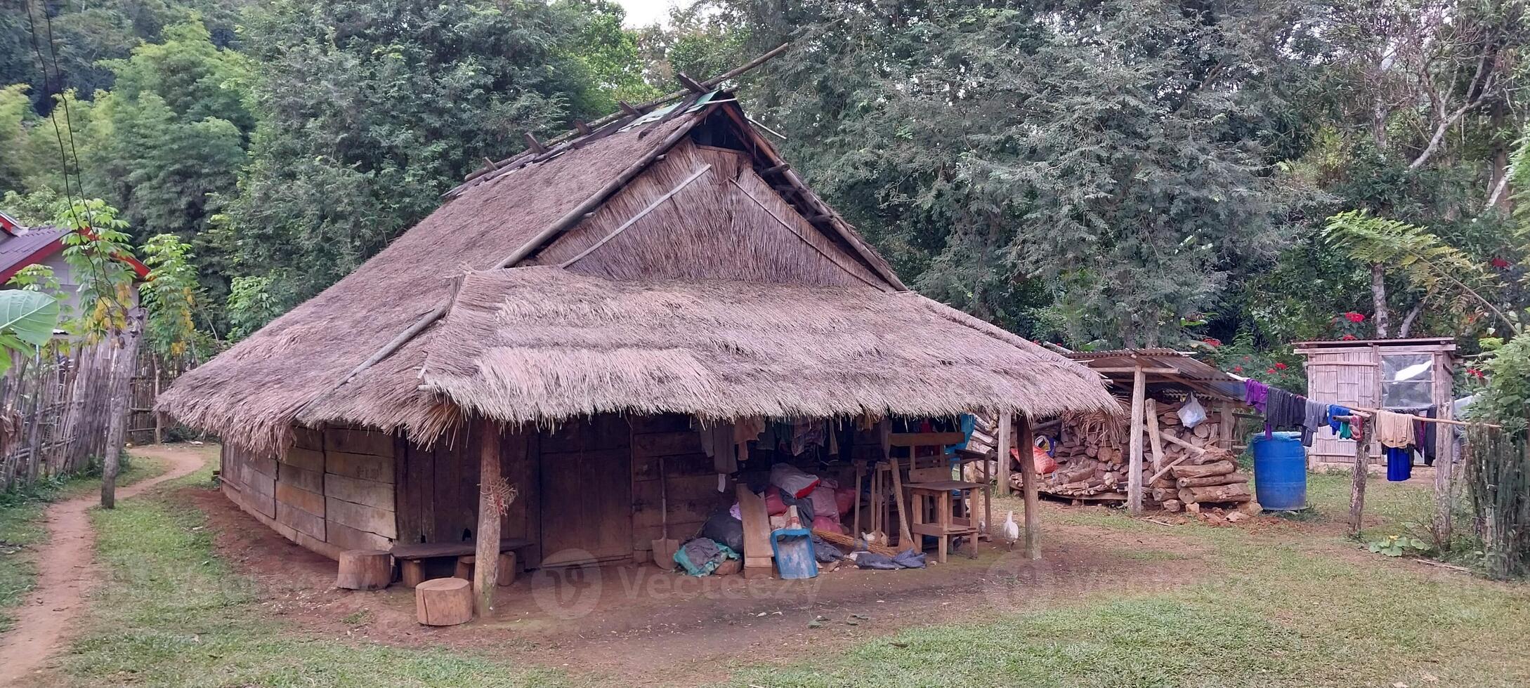 Traditional thatched hut in a rural village, surrounded by lush greenery and forest trees, showcasing simple living and cultural heritage. photo
