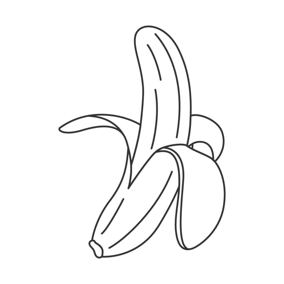 Hand drawn banana icon half peeled with peel in hand drawn doodle style vector