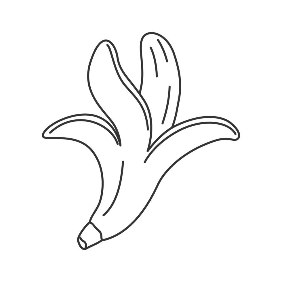 Half peeled whole banana icon. Hand drawn tropical outline banana in doodle style vector