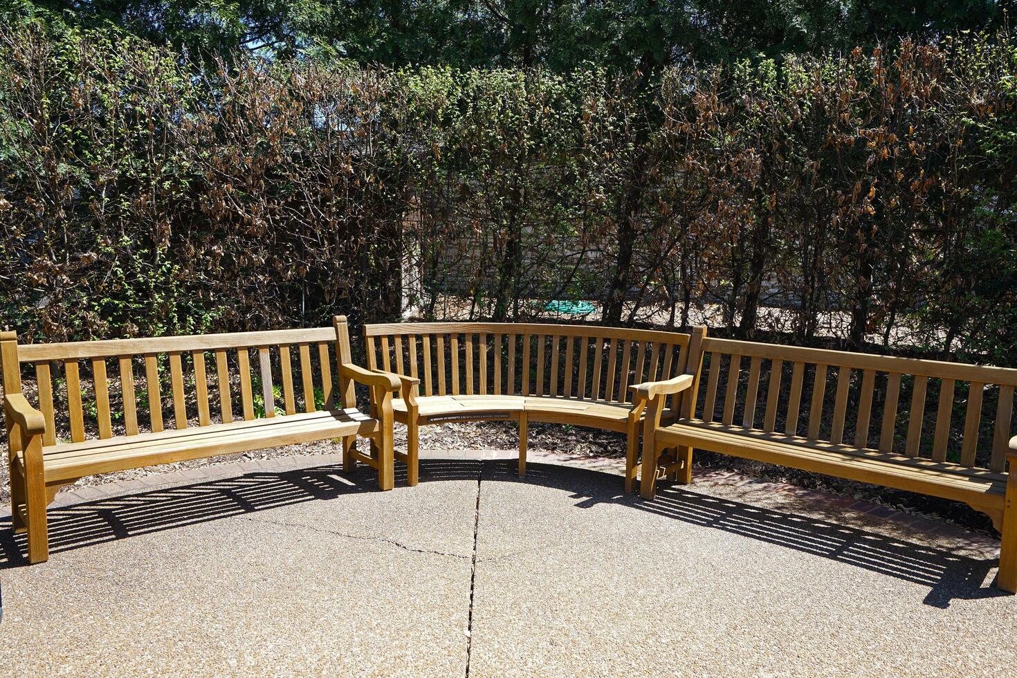 Exterior decoration and design of outdoor patio terrace deck decorated with wooden bench in green park photo