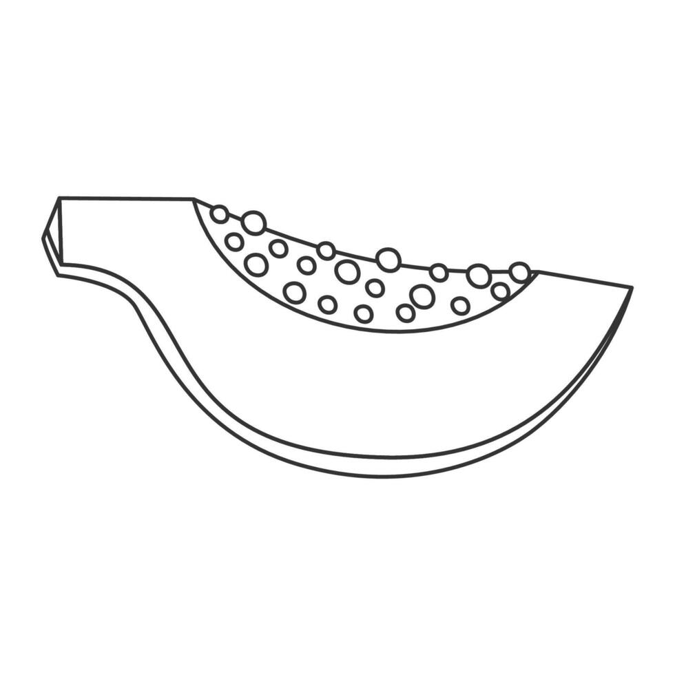 Papaya contour icon with clean silhouette. outline design of tropical fruit quarter vector