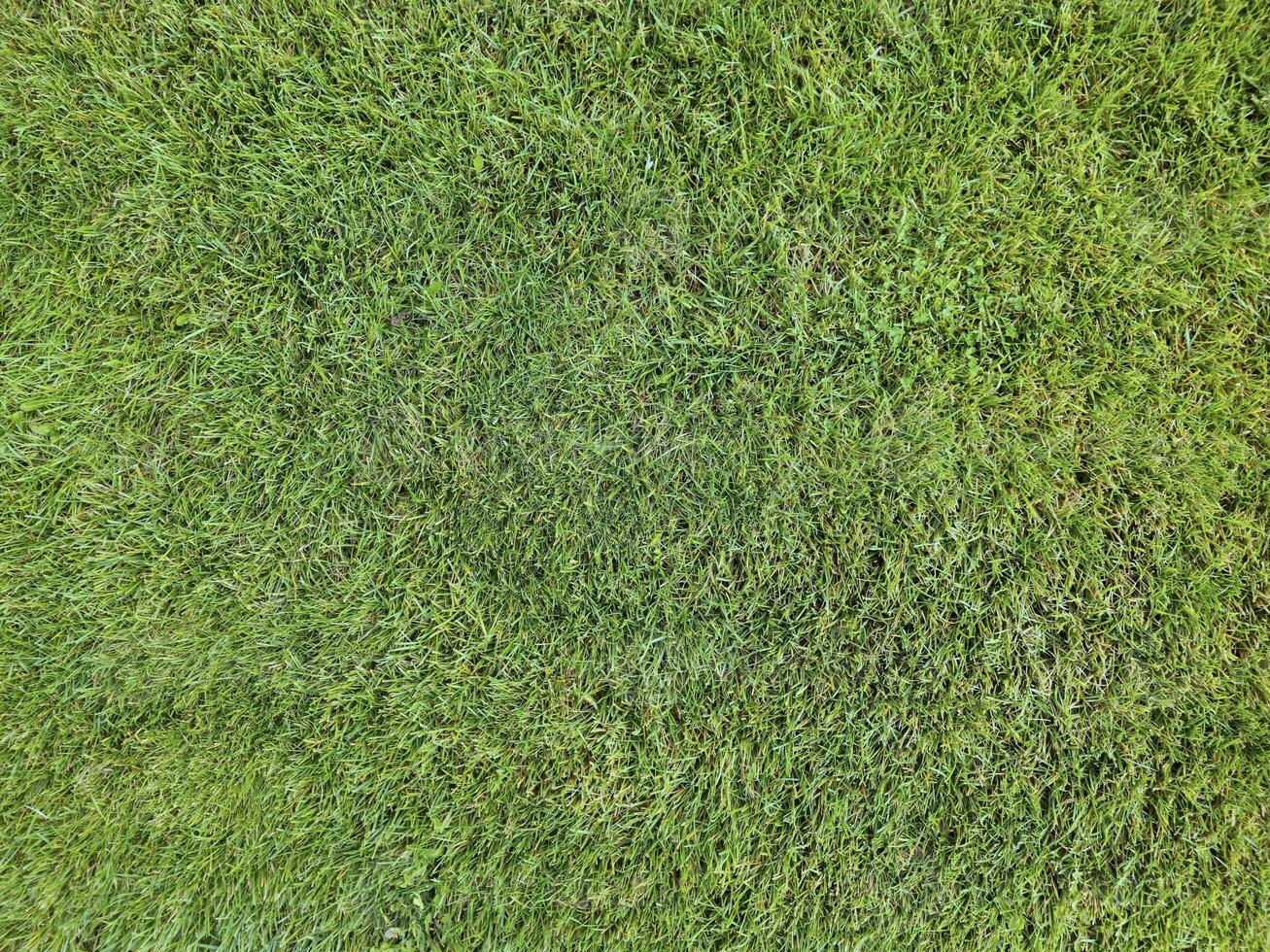 a close up of a green grass field photo