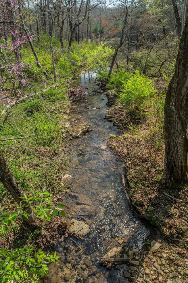 Stream flowing into a lake photo