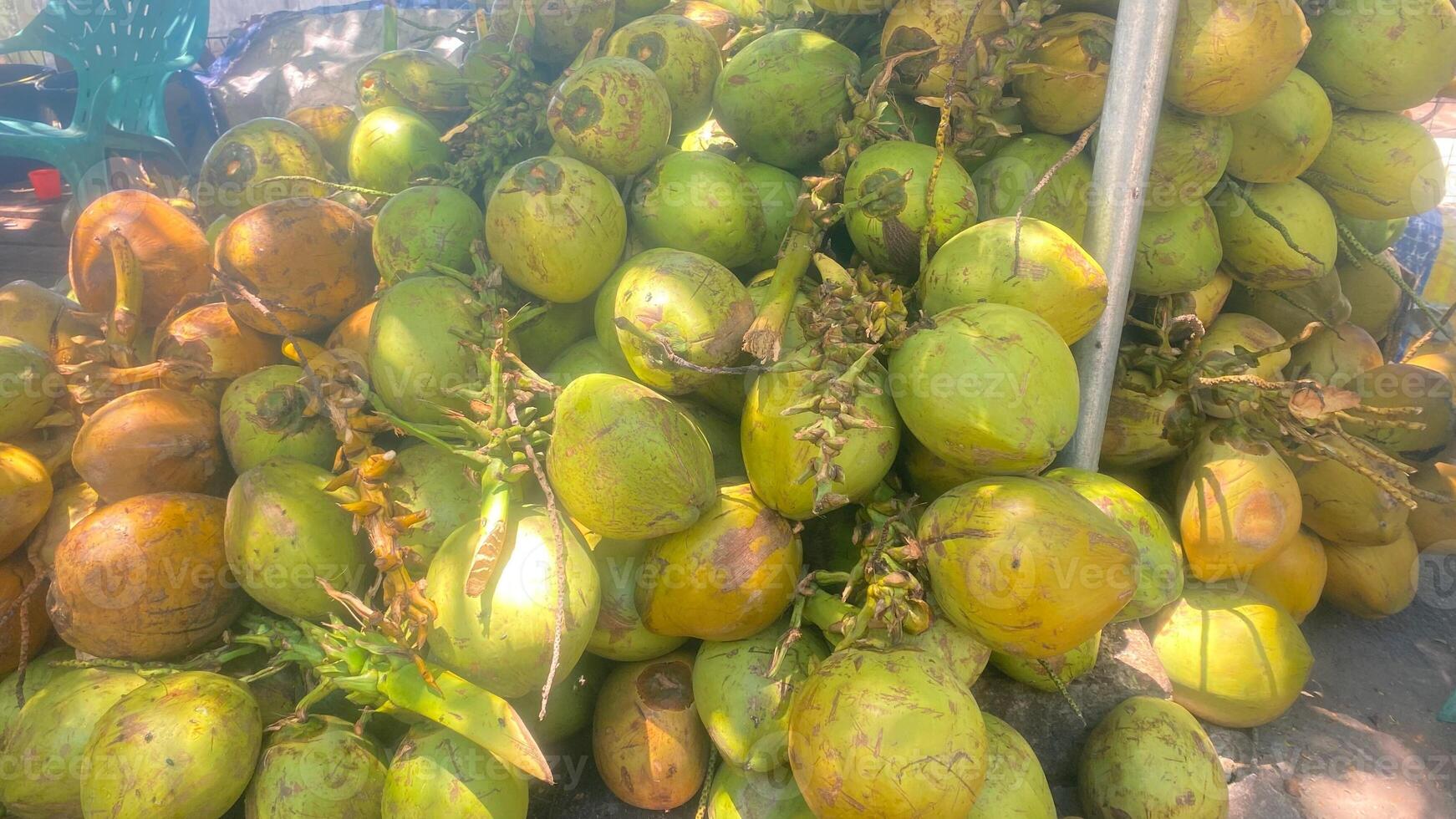 Pile of Coconuts photo