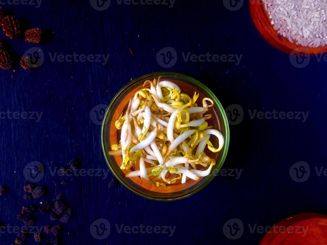 Bean Sprouts in a Bowl photo