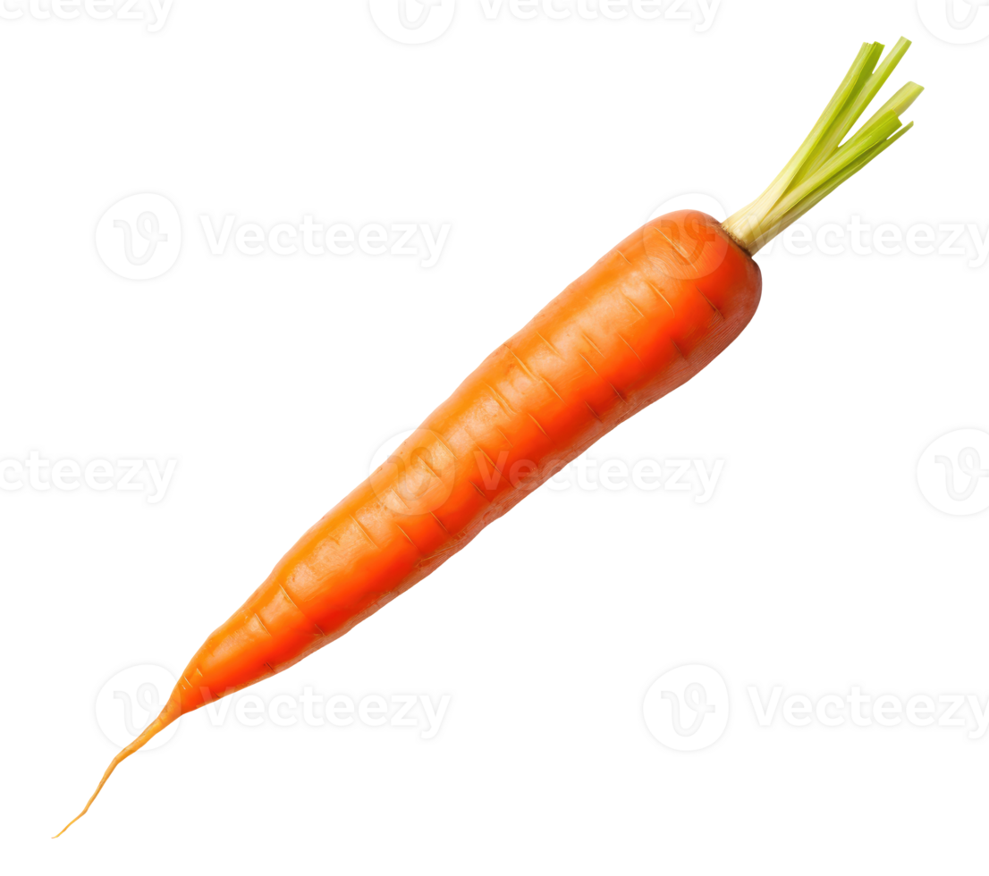 One Ripe Carrot png