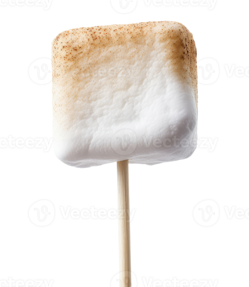 Stick with Marshmallow png