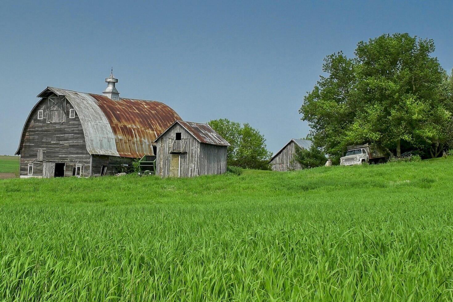 Farm scene with barn and outbuildings photo