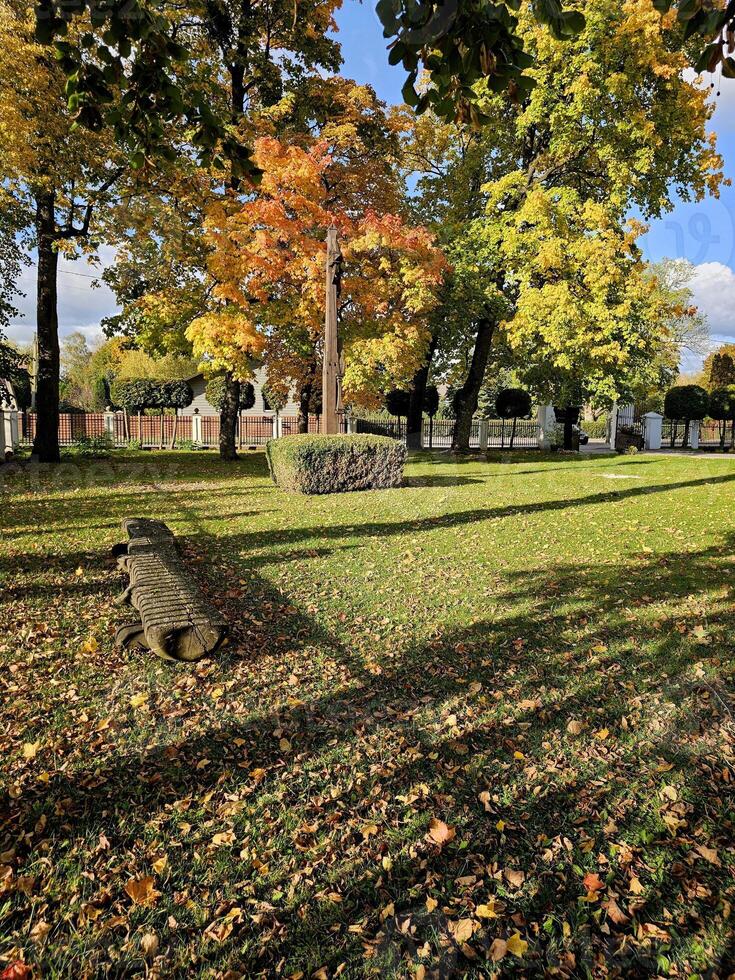 a park with a bench and trees in the fall photo