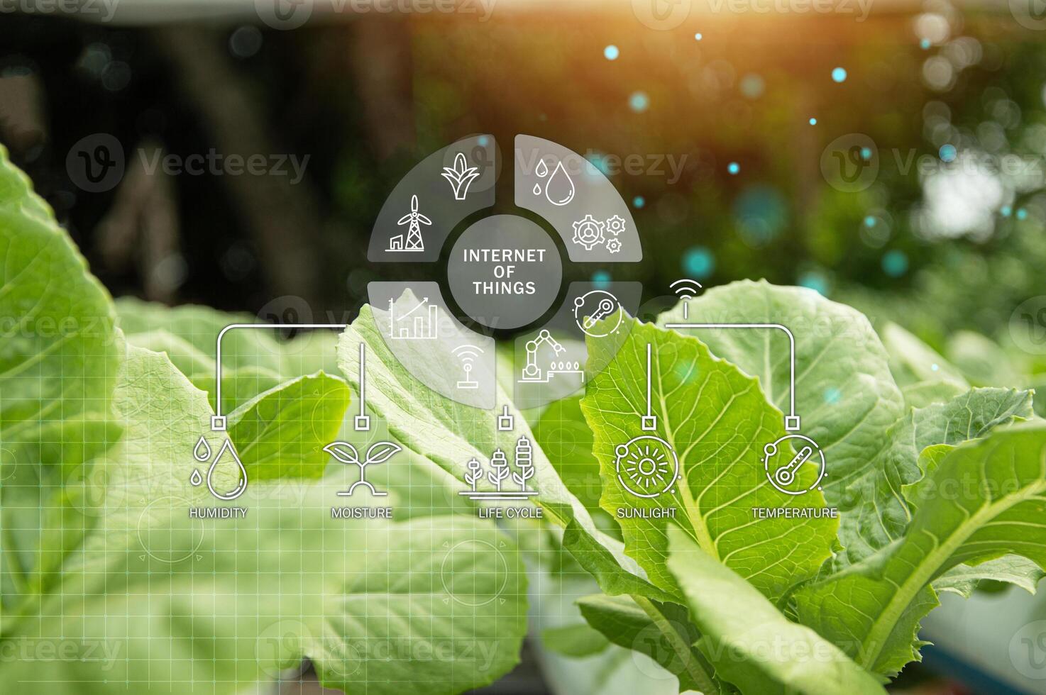 The concept of using AI and smart agriculture, precision agriculture photo