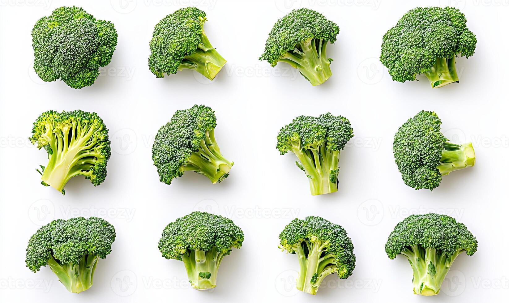 A flat lay of twelve fresh broccoli florets arranged in a grid pattern on a white background. photo