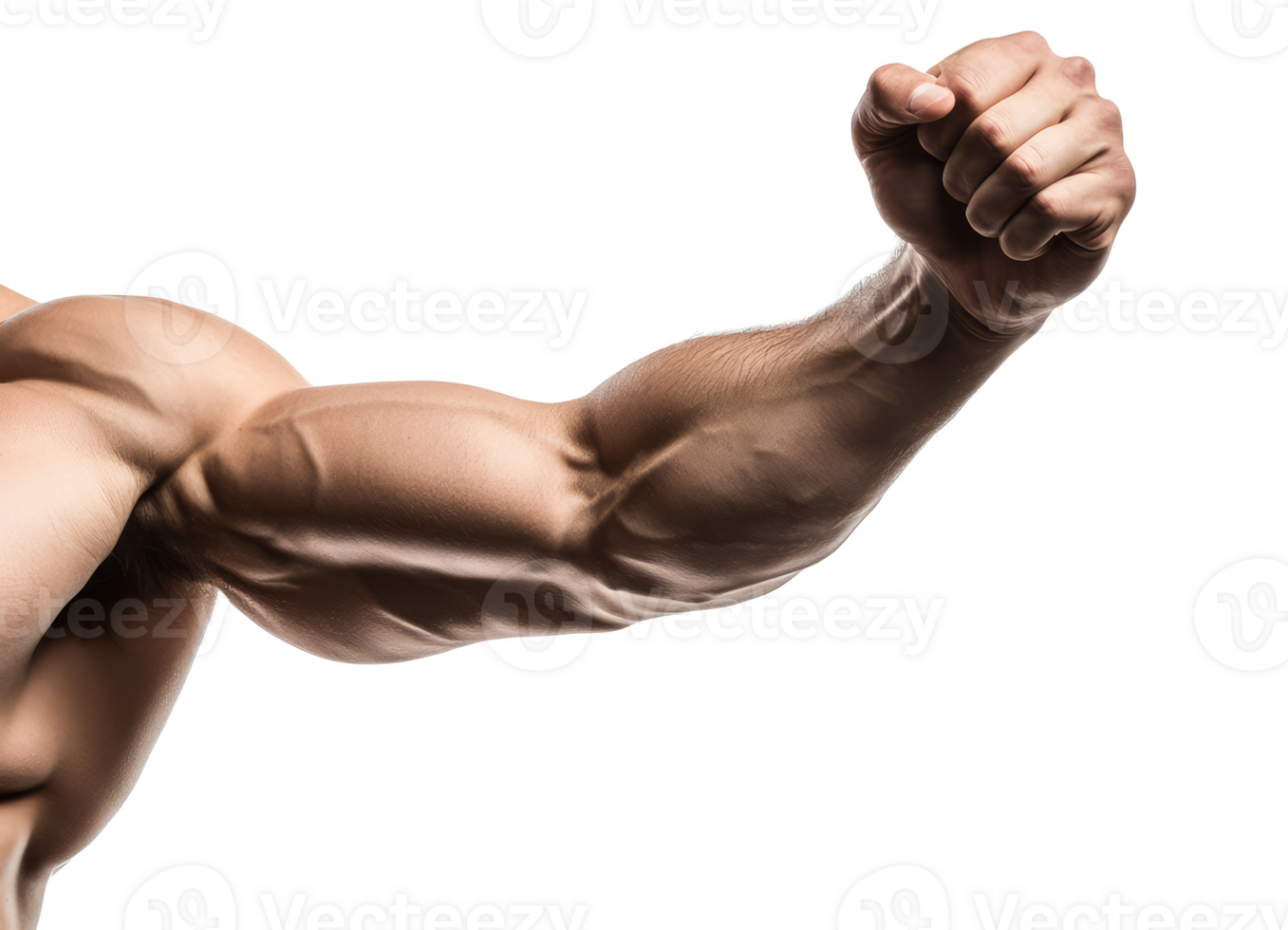 Muscular male arm demonstrating bicep strength isolated on transparent background png