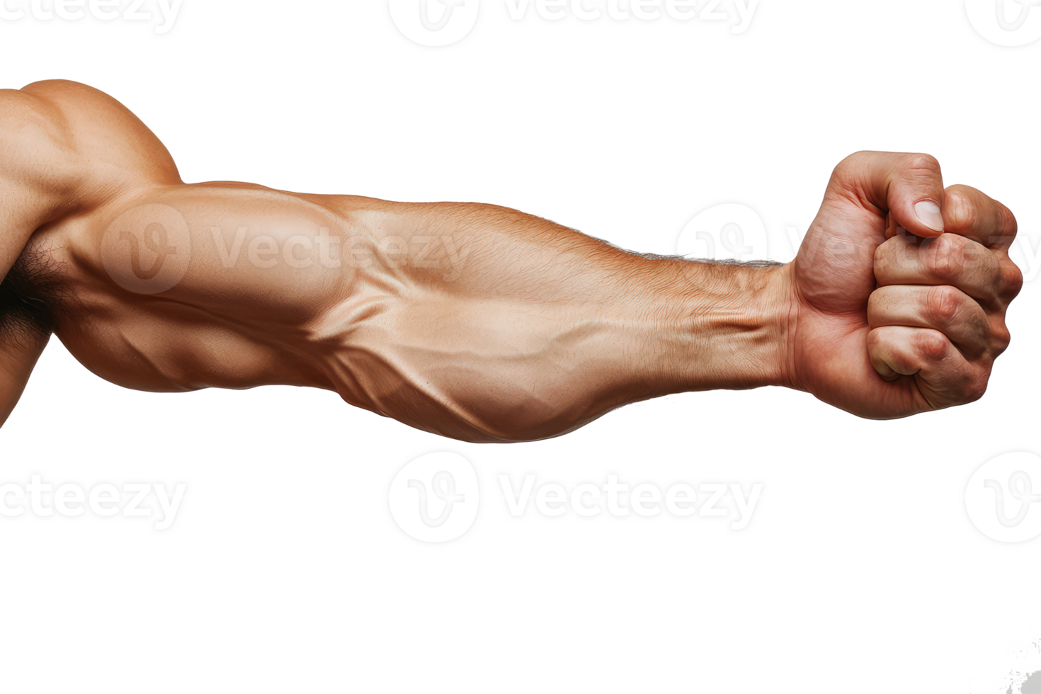 muscular male arm with clenched fist isolated on transparent background png