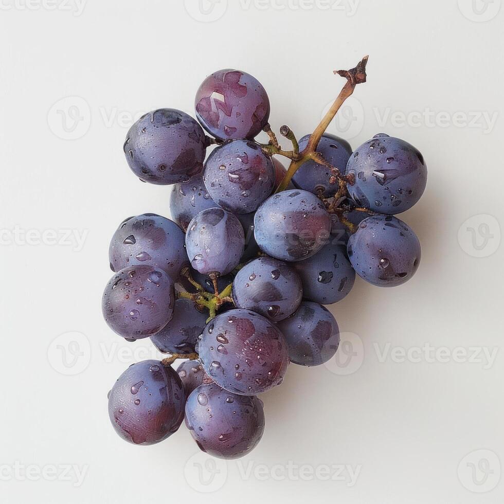 araffy image of a bunch of grapes with water droplets photo