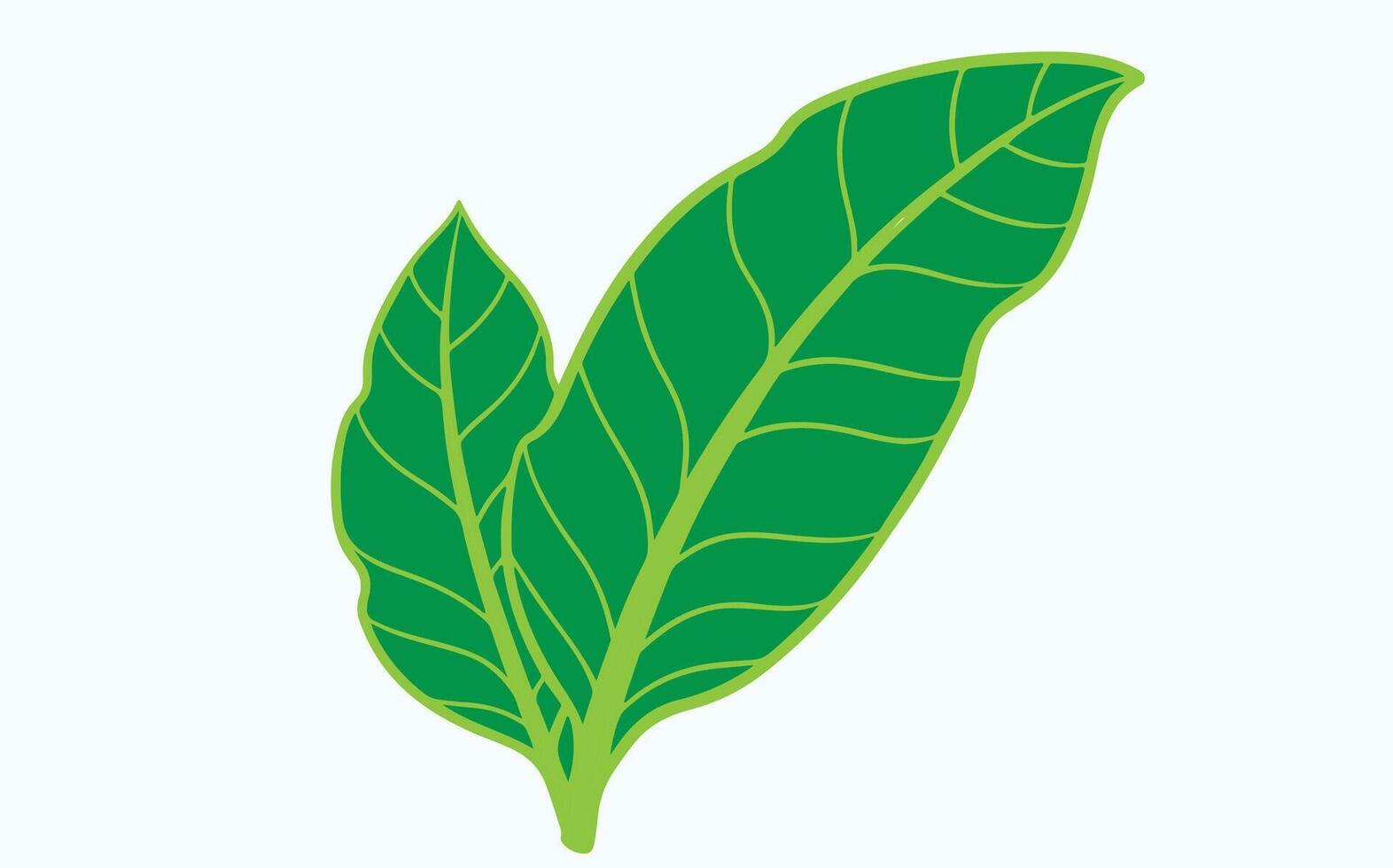 Green Leaf Minimalist abstract image clipart vector