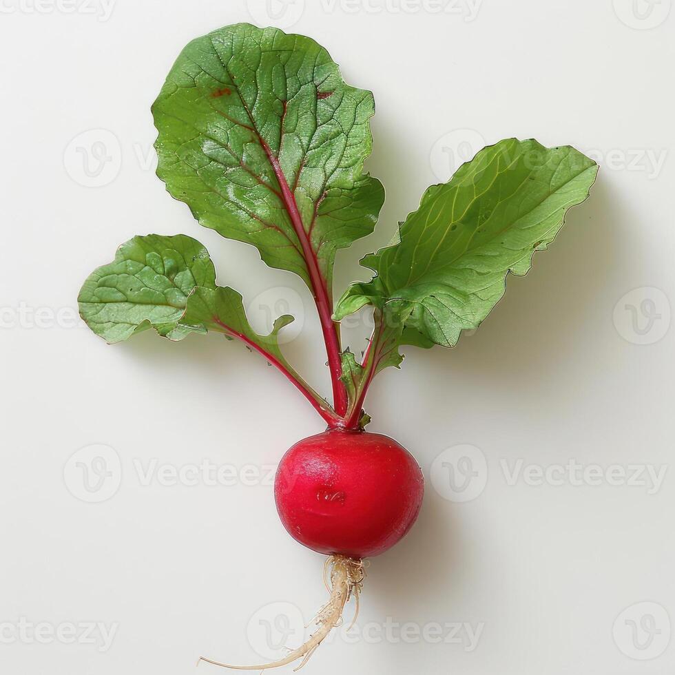a radish with green leaves on a white surface photo