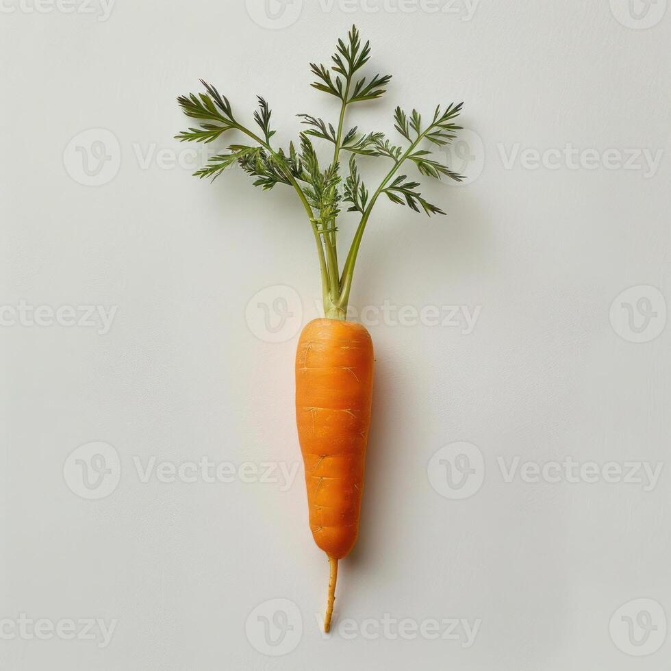 a single carrot is shown on a white surface photo
