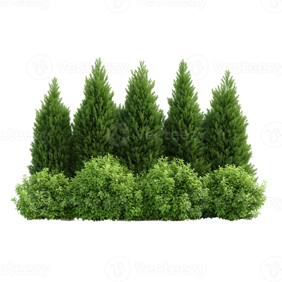 Green trees and shrubs, creating a lush and vibrant nature scene, perfect for landscaping or garden design. isolated on transparent background. png