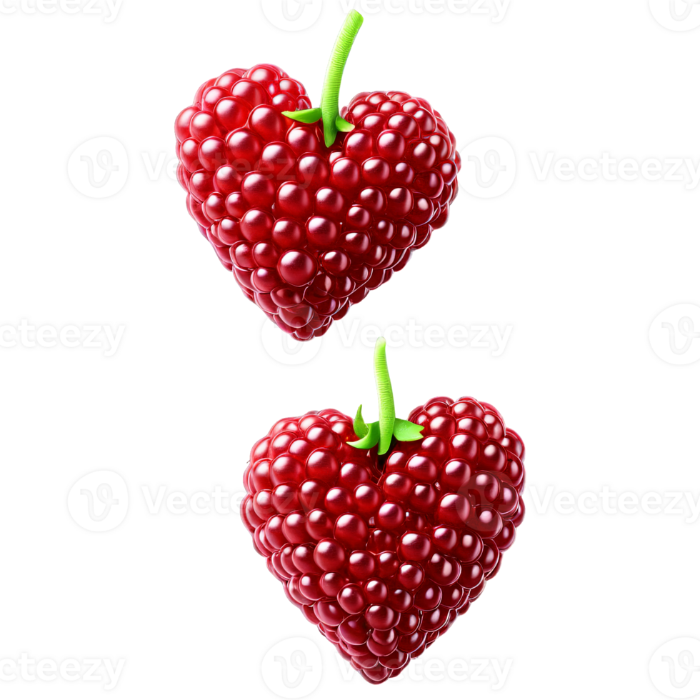 Loganberries dark red elongated and glossy soft heart outline with gentle highlights Food and culinary png