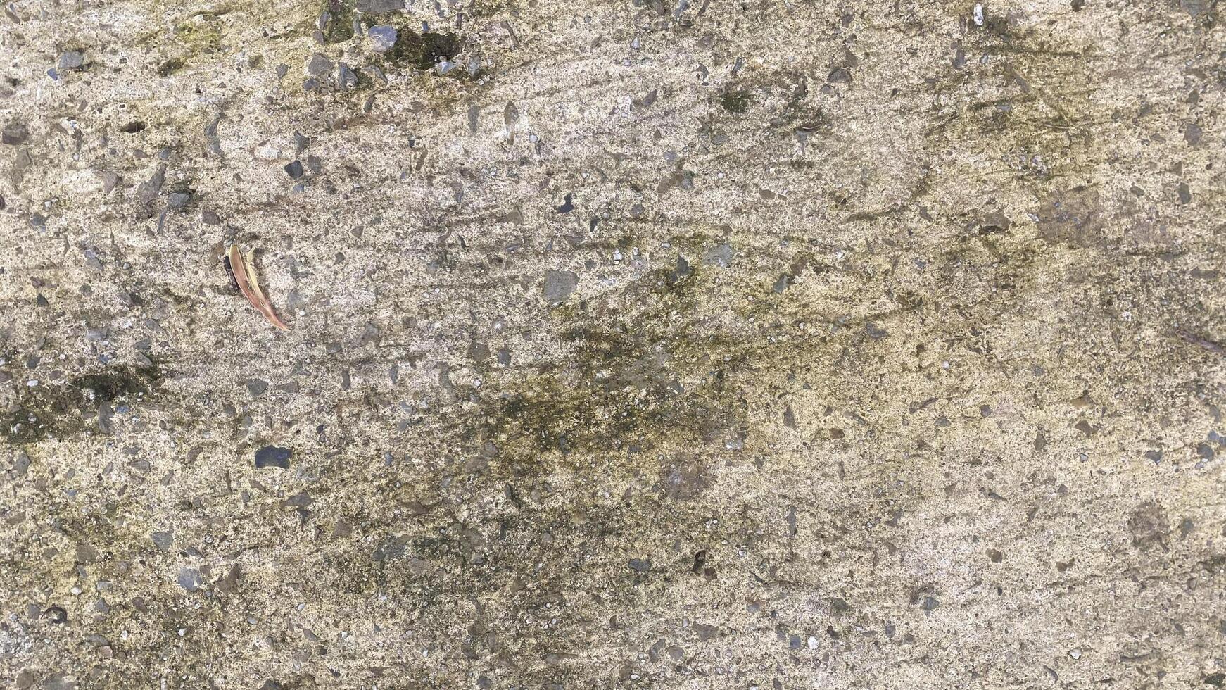 concrete wall abstract background texture cement grey gray backdrop old. photo