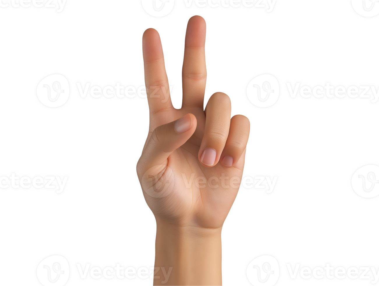 hand showing the number two by raising the index and middle fingers gesture for counting and signaling isolated on a white background png