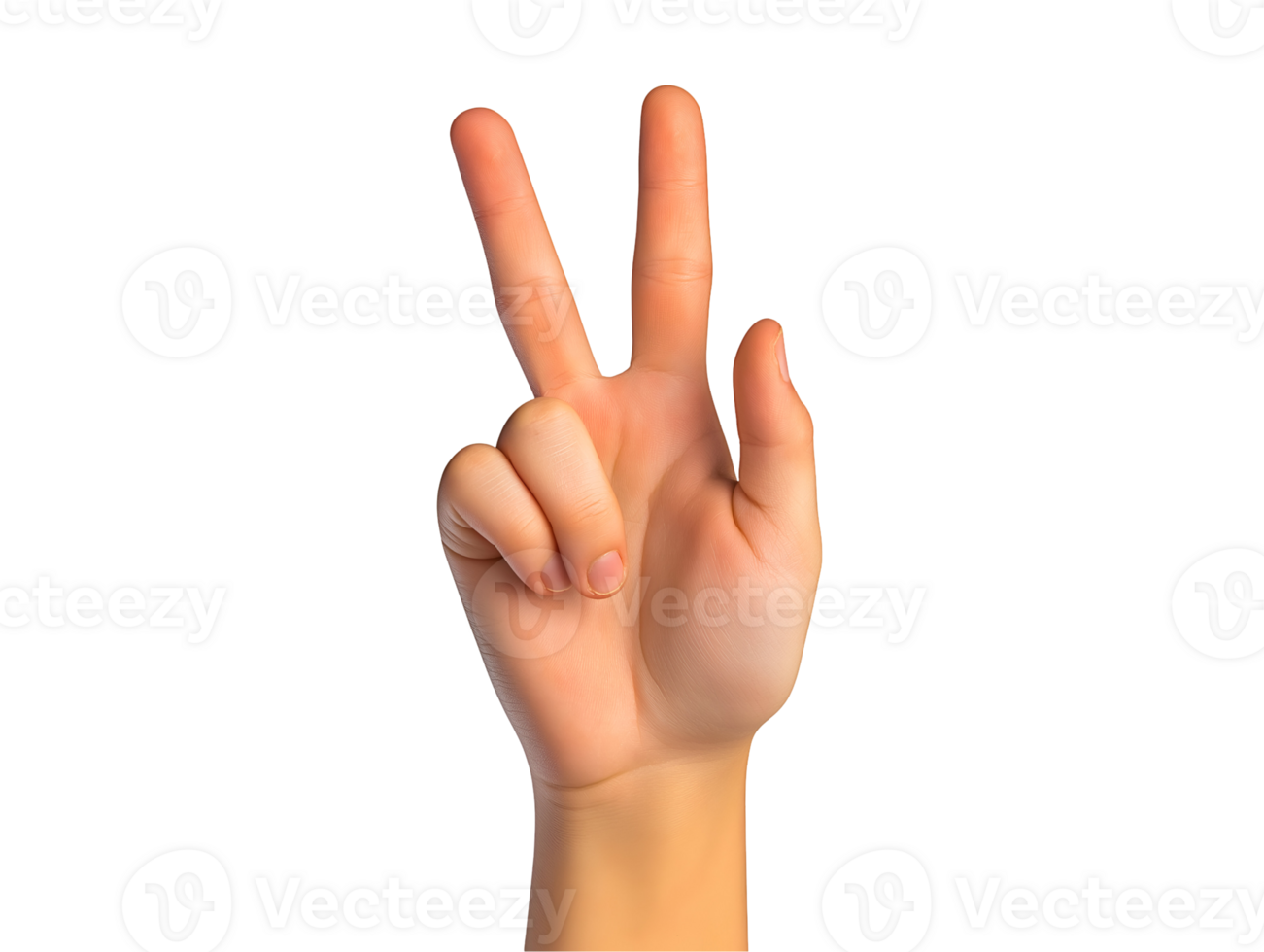 hand showing the number two by raising the index and middle fingers in a counting gesture on isolated background png