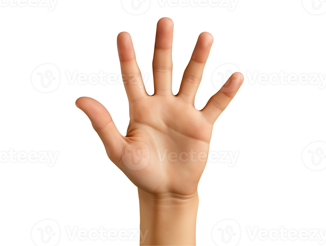hand showing the number five by spreading all five fingers in a counting gesture on isolated background png