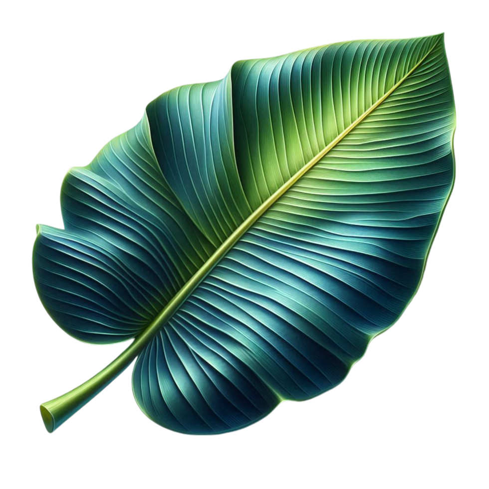 Chromatic Canopy Vibrant Leaf png